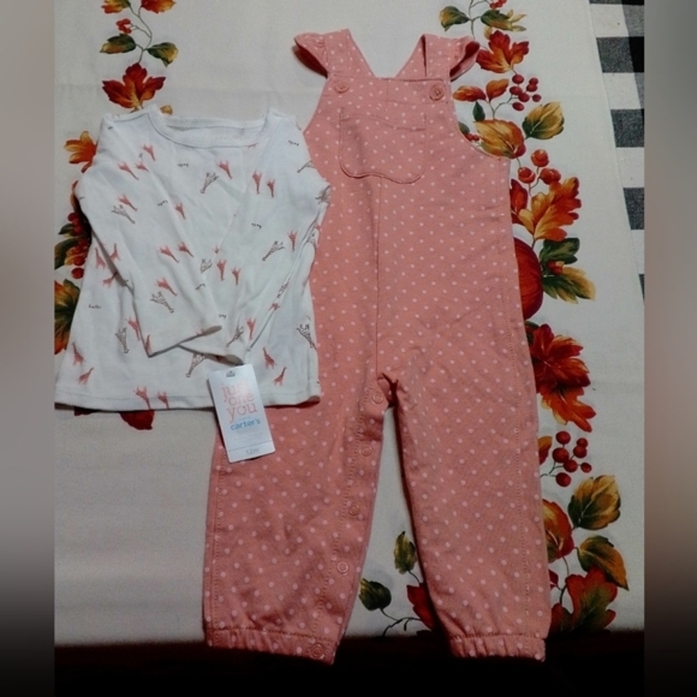 NWT Carter's overalls and matching shirt set